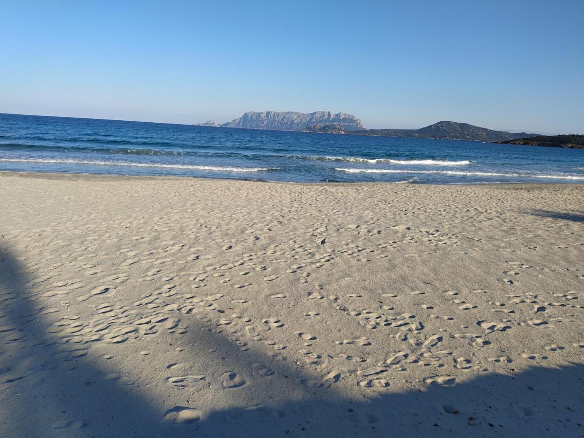 Antica Isola Bed & Breakfast Olbia Dış mekan fotoğraf