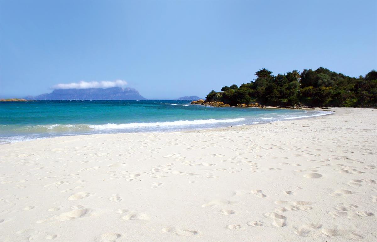 Antica Isola Bed & Breakfast Olbia Dış mekan fotoğraf