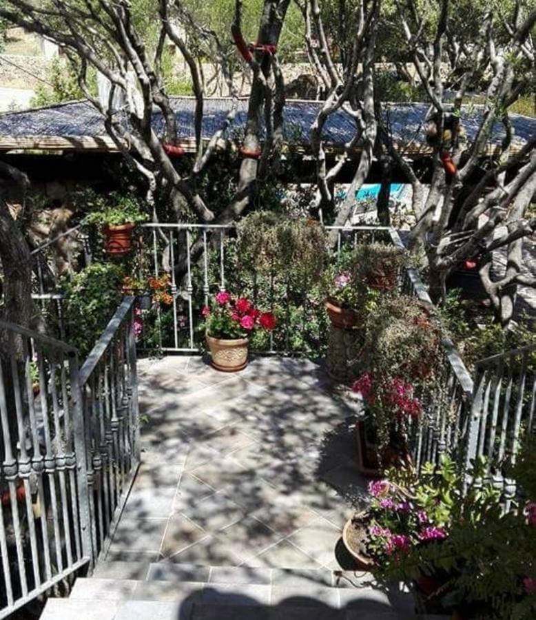Antica Isola Bed & Breakfast Olbia Dış mekan fotoğraf